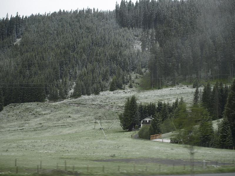 AUS29052009 (31).jpg